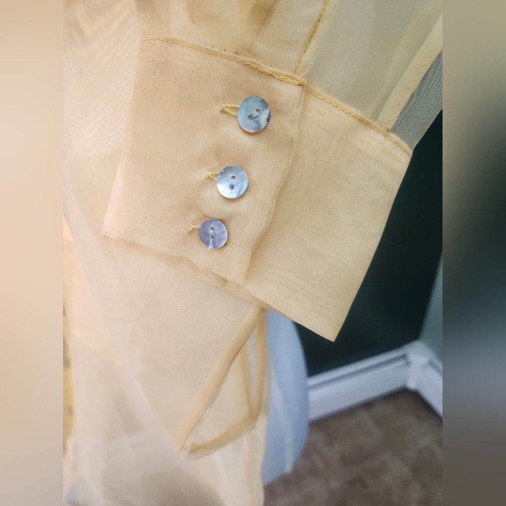 Insight Sheer Yellow Button-Up Blouse - Picture 4 of 4